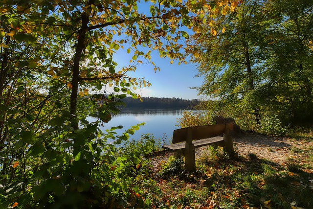 不少人也发 不少人也发