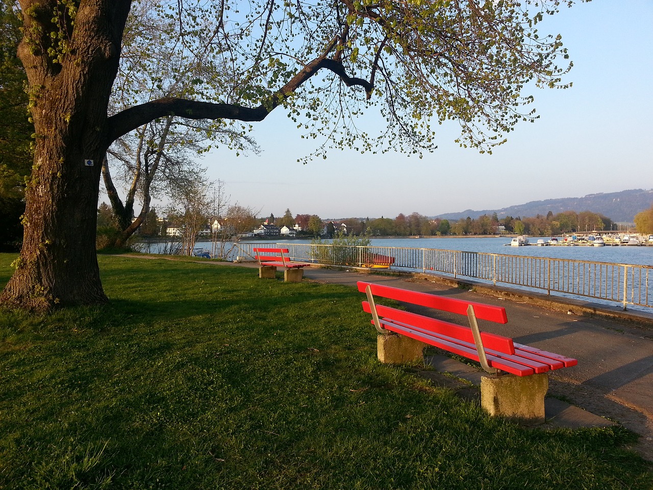 球队近年来 球队近年来